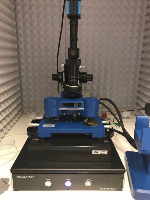 jpk-nw4.jpg jpk-nw4.jpg